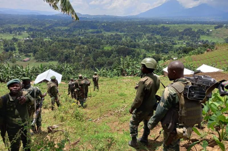 FARDC