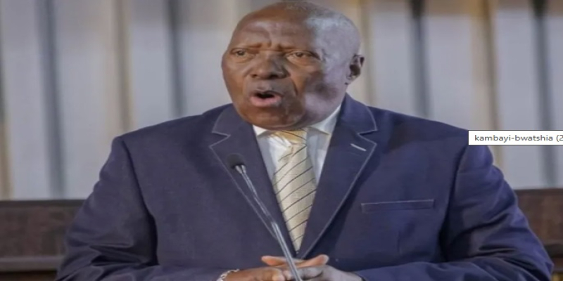 Prof Kambayi Bwatshia