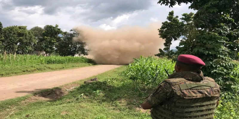 FARDC
