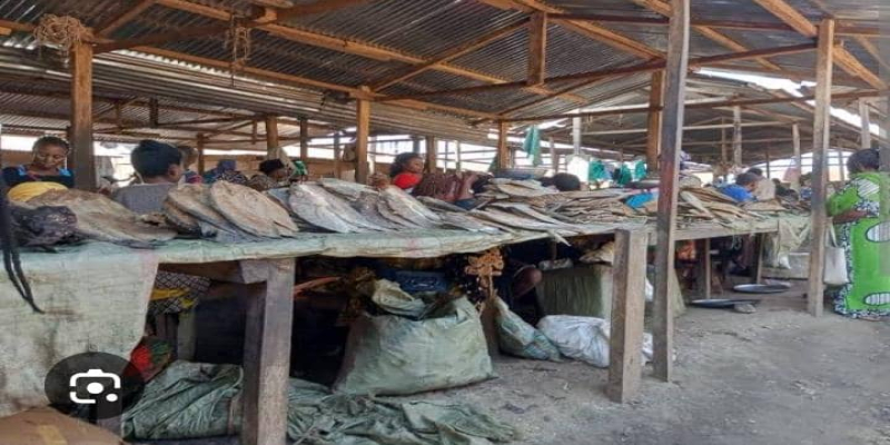 Photo d'illustration