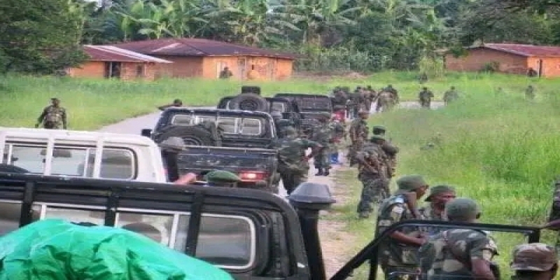 FARDC