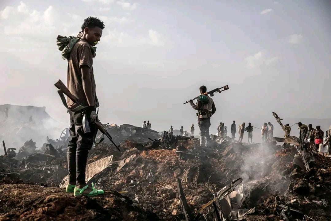FARDC