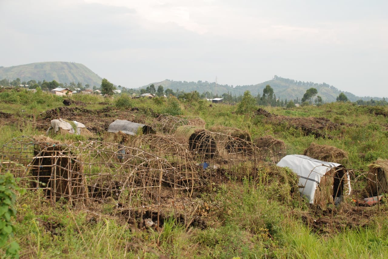 Agression Rwandaise : les groupes armés locaux "Wazalendo" pourchassent le M23 à Masisi