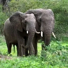 Photo droits tierces